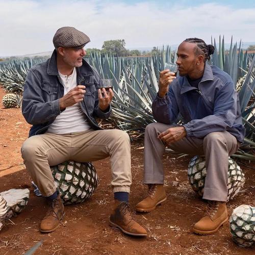 Exploring Celebrity Alliances with Alcohol-Free