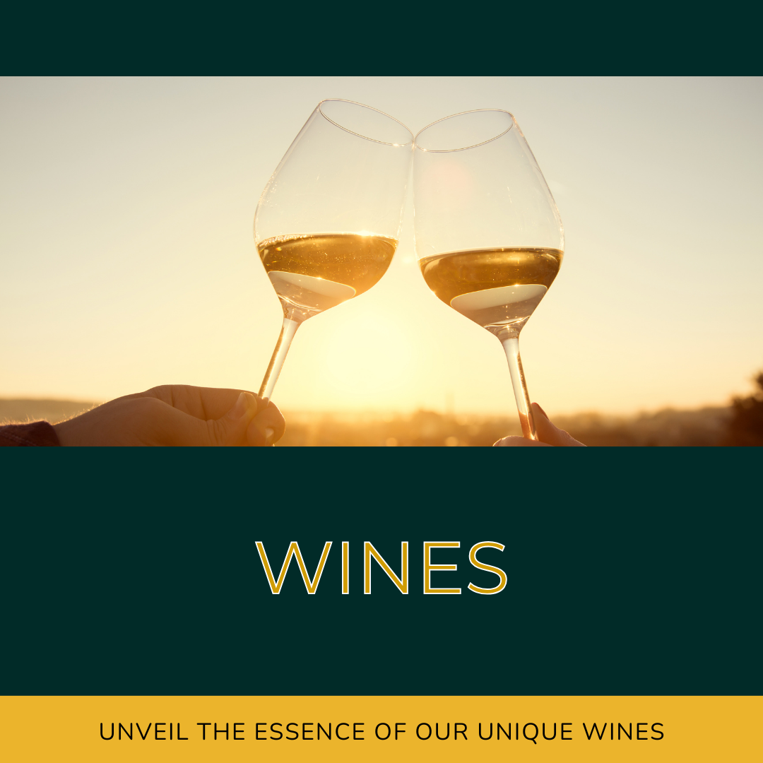 wines cheers