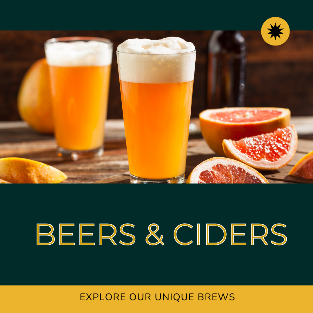 Non Alcoholic Beer & Cider Collection – Drink Free Co