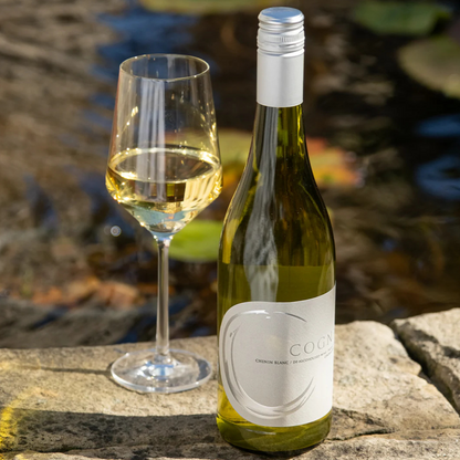 Cognato_White_Wine_and_Glass