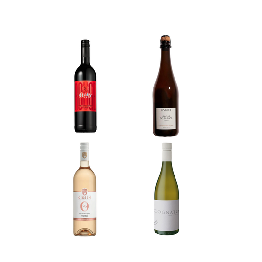 Four wine bottles of different types on a white background