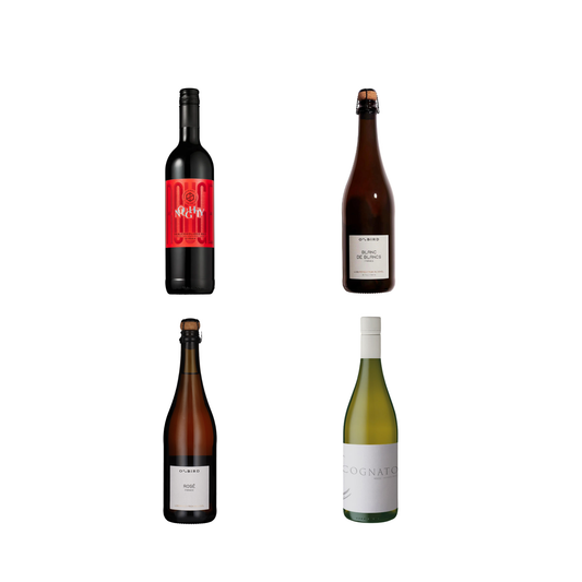 Four wine bottles of different types on a white background