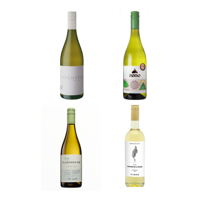 White Wine Explorer 4 Pack